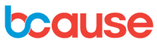 BCause Foundation